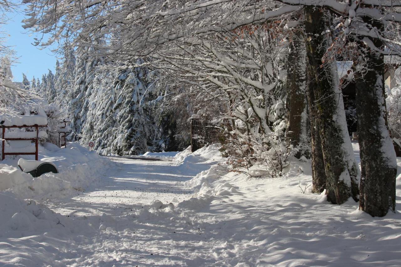 Waldgasthaus Am Schwarzenbruch Allenbach Exterior foto